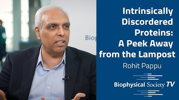 Intrinsically Disordered Proteins: A Peek Away from the Lampost