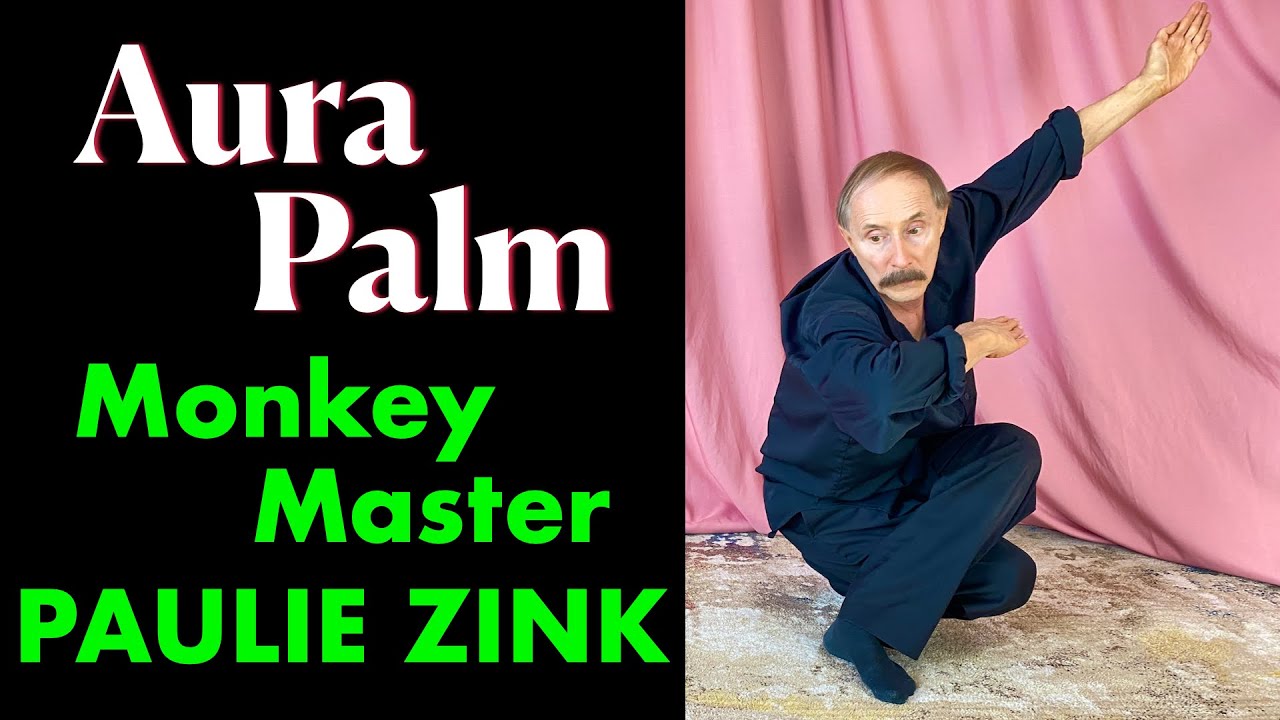 Monkey Kung Fu Master Aura Palm Form