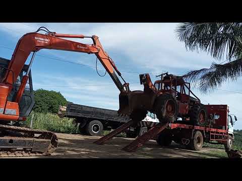 Junk timberjack about
