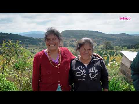 Un viaje entrañable y con causa: El Almacén, Oaxaca