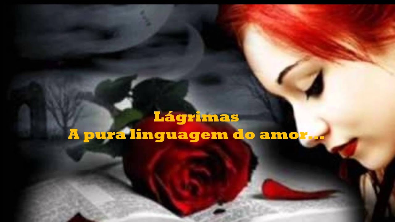 Choram As Rosas Seu Perfume Agora Se Transforma Em Lágrimas