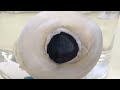 SIQ What animal has the largest eyes?