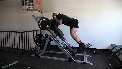 Machine Reverse Hack Squat