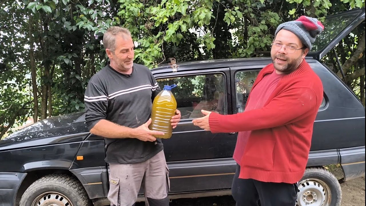 CÓMO hacer ACEITE de OLIVA VIRGEN EXTRA CASERO,PRENSADO en FRÍO