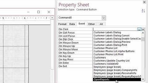 Microsoft Access A to Z:  Macros 101