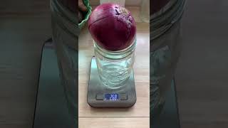 Bagail Food Scale - Honest Review
