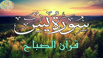 سورة يس 💚بصوت عذب جميل تلاوة تنسيك هموم الدنيا وتفتح لك ابواب الخير والرزق الحلال 💚🤲