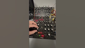 Jamming on the Moog Labyrinth. Drums from Behringer RD9 #semimodular #synthjam #electronicmusic