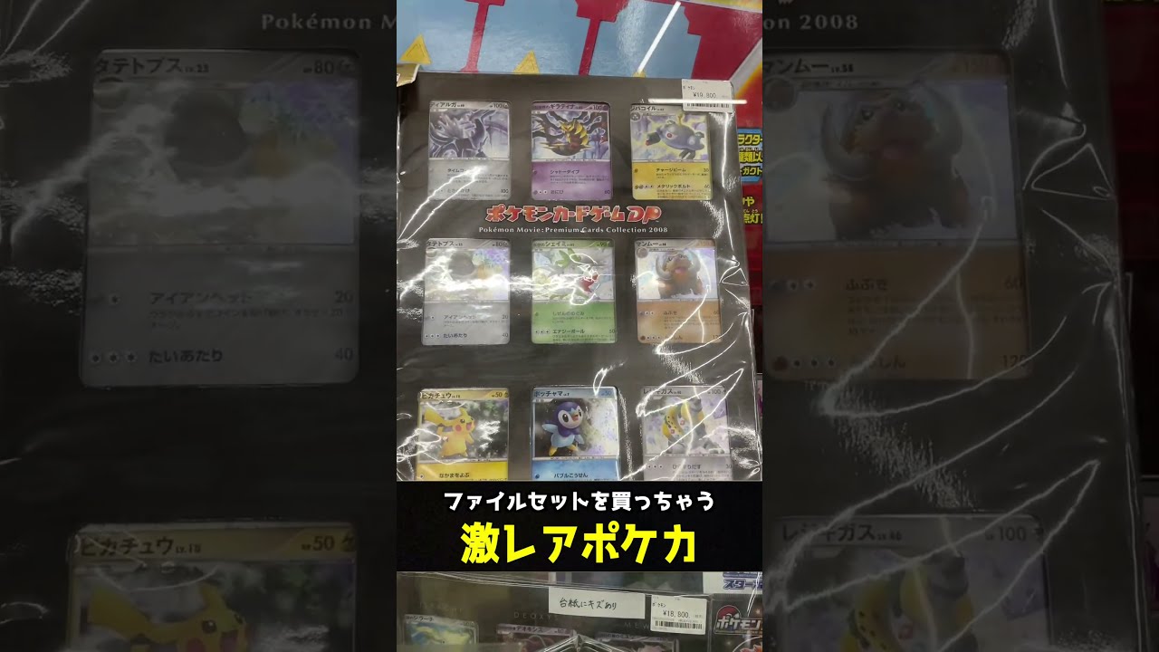 ポケモンカードゲーム　カード入りファイル　まとめ売り 抽選販売】ポケモンカードゲーム スカーレット＆バイオレット