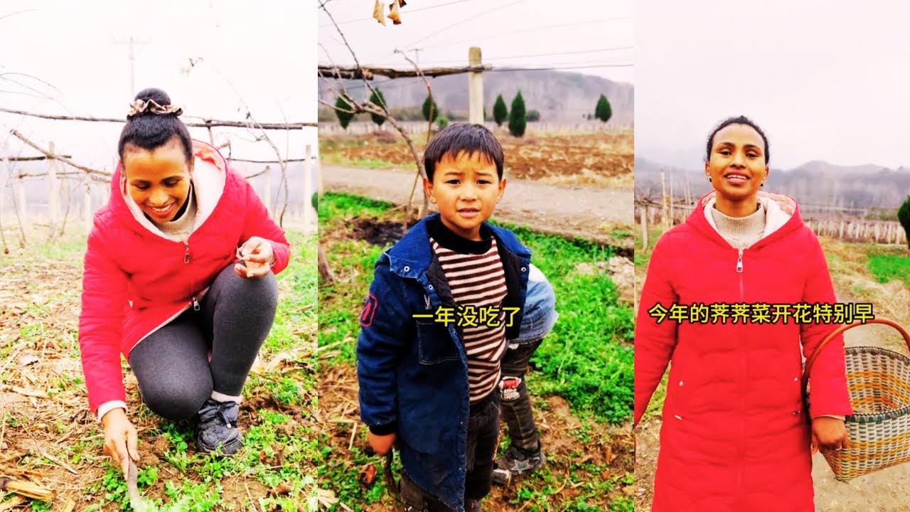 Ханна берет своих щенков смешанной расы копать дикие овощи!