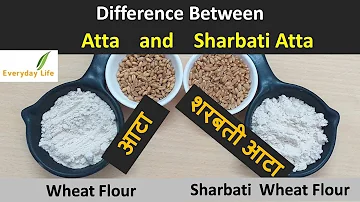 Difference b/w Atta and` Sharbati Atta | आटा और शरबती आटा में अंतर  | Everyday Life #106