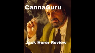 CannaGuru Jack Herer Review