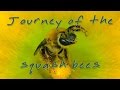 Journey of the Squash Bees