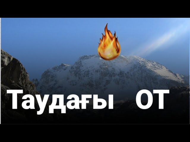 Таңдамалардағы порно Ешектегі бөтелке