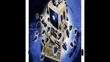 ¿Que son realmente los llamados bug informaticos?