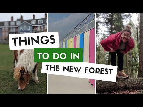 वीडियो: क्या नए जंगल में रेडलिंच है?