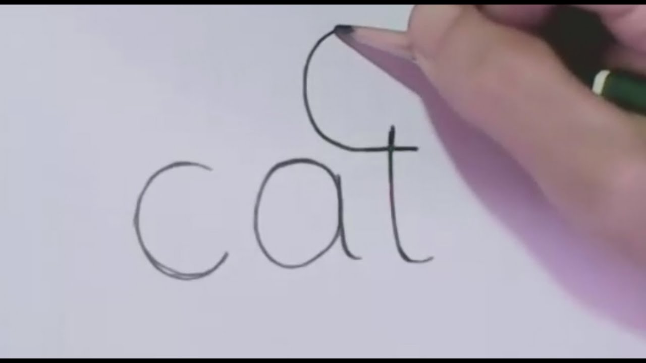How to turn Words Cat Into a Cartoon Cat. (Wordtoons) - YouTube