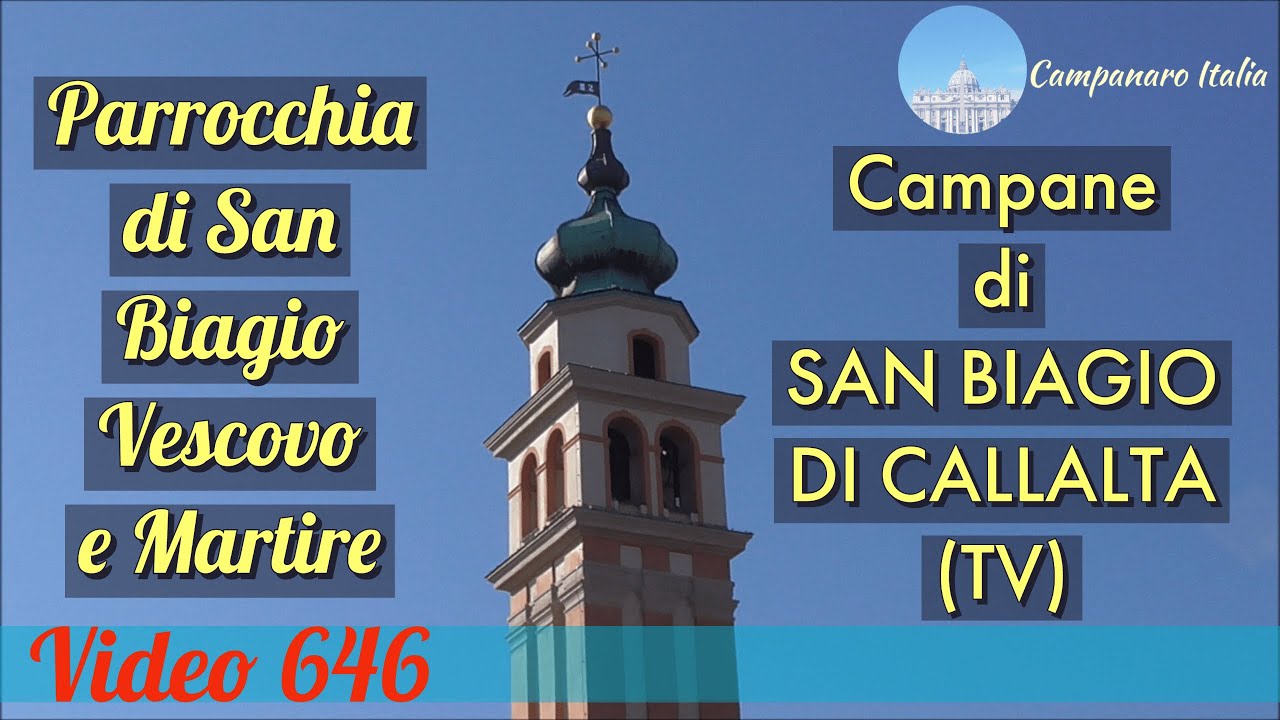 Campane della Parrocchia di San Biagio Vescovo e Martire in San Biagio di Callalta (TV) v.646