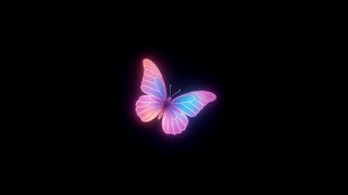 Pink blue butterfly transparent background video | Colorful Butterfly Animation black screen effect