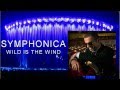 George michael  wild is the wind  symphonica album