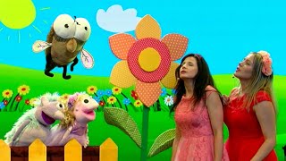 Video thumbnail of "Sedí mucha na stene | ľudové pesničky pre deti | Hanička a Murko | detská pesnička"