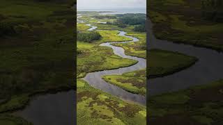 Chesapeake Bay Explained: America’s Largest Estuary