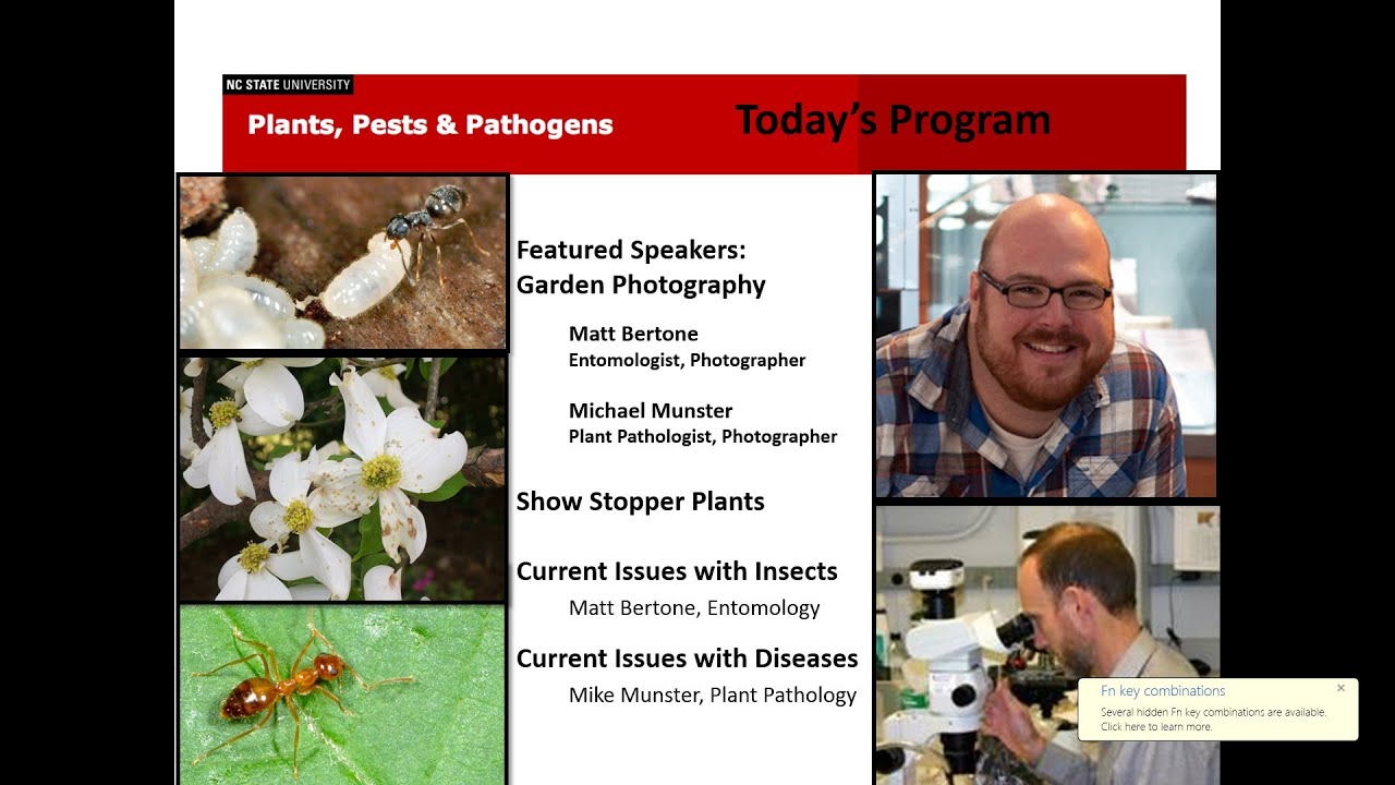 2013-04-23 Plants Pests and Pathogens-Garden Photography