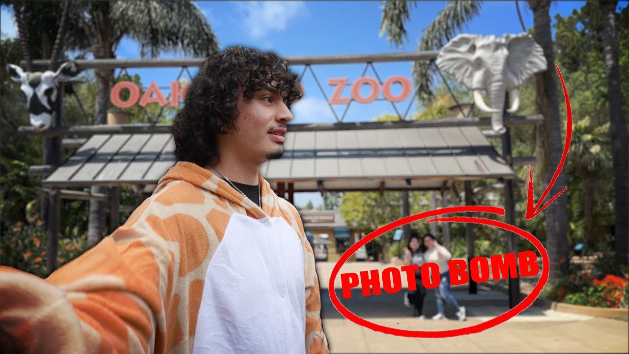 Going To The Zoo Dressed As A Giraffe