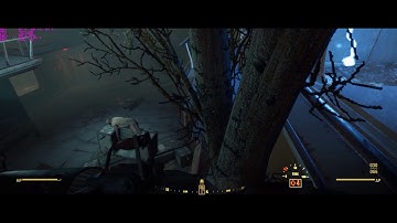 Commonwealth Conifers Redux issue