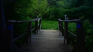 Nature Walk very relaxing by Beauty & RC vlog 366 views 2 years ago 8 minutes, 5 seconds