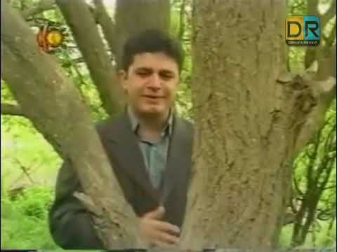 لوقمان دۆسکی هەوارە وهەوار تۆ یا ل هزرا من گەڕیایی 