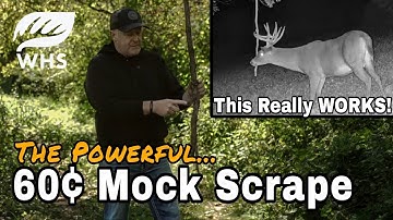 Create Mock Scrapes That Actually Work