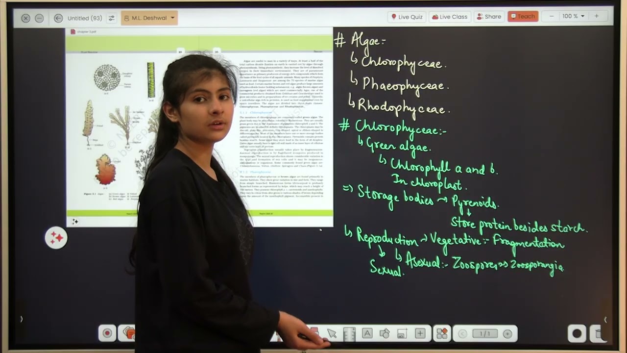 Chlorophyceae(Algae)