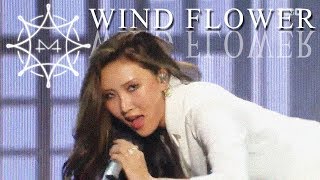 [HOT] MAMAMOO  - Wind Flower, 마마무 -  Wind Flower show Music core 20181215 chords