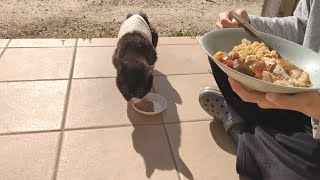 もんたとピクニックして一緒にめし食ってきた
