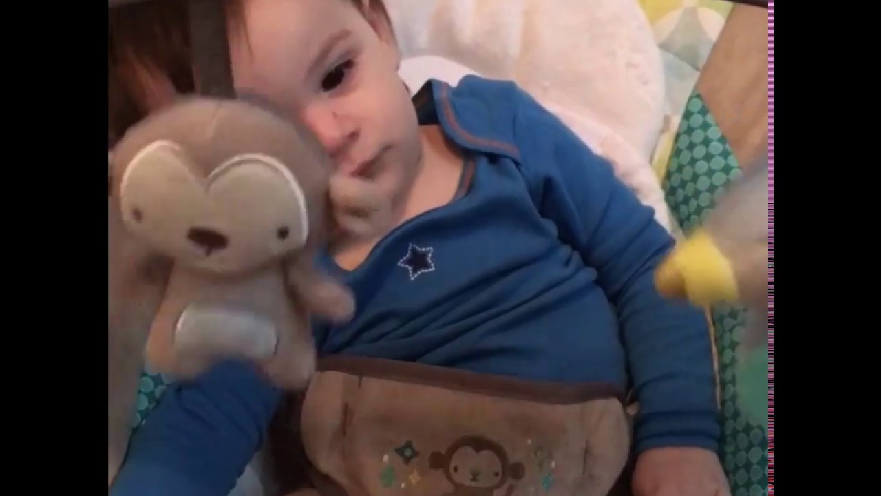 ingenuity smartbounce automatic bouncer moreland