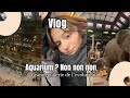 aquarium ? non non non