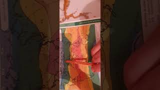 Avrasiya Və Şm. Amerikanın Qilimi