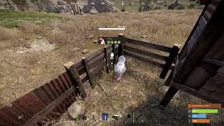 How to Use Chicken Coop in Rust