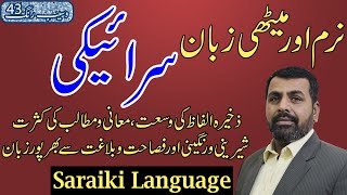 Saraiki Language - A soft and Sweet Language | Waseb Rang Ep. 43 screenshot 2