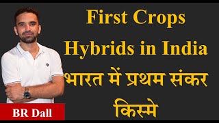 Frist Crop Hybrid in India, भारत में प्रथम संकर किस्मे