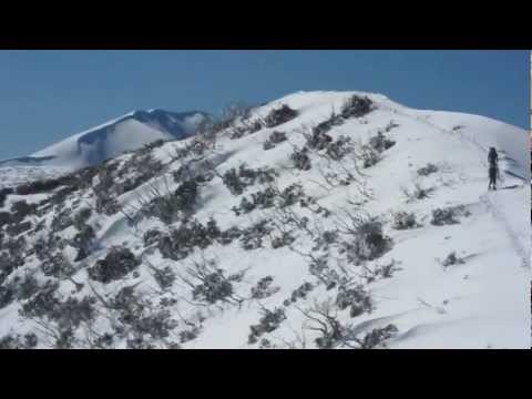 Razorback to Mount Feathertop