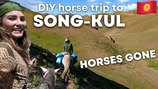 Mountain adventure on horseback with a stranger (and why it turned out differently than planned!)😳