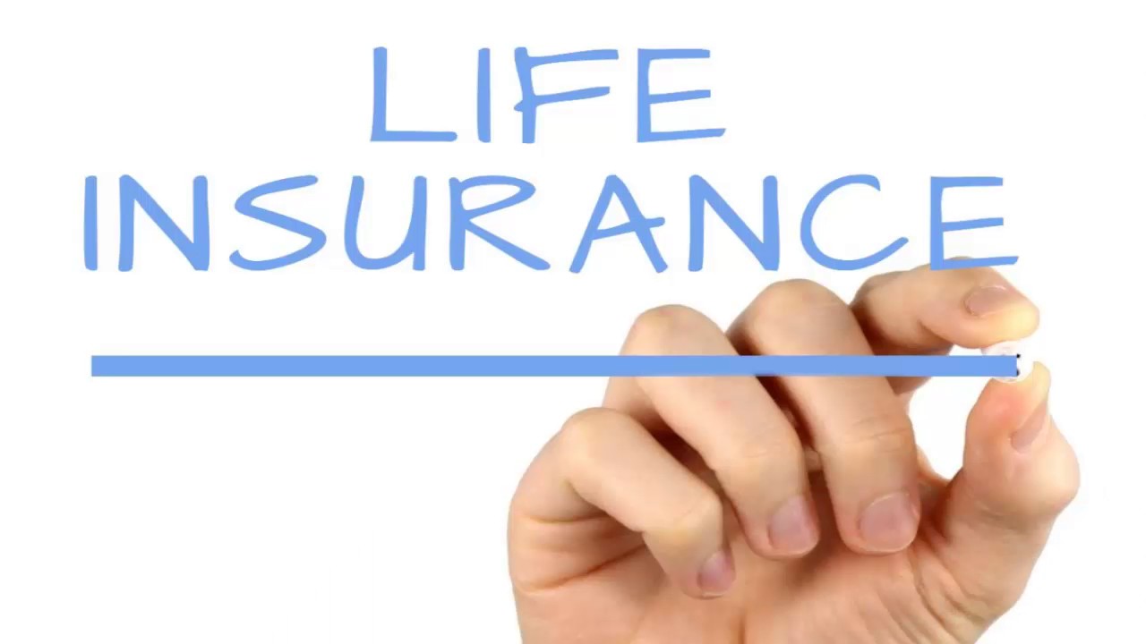 term life insurance quotes: Get a Free Life Insurance Quote.