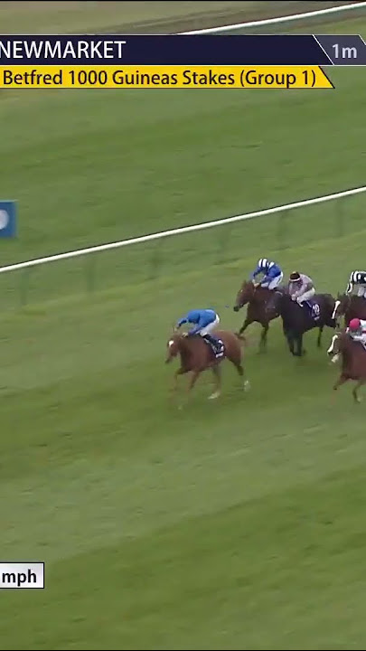 Desert Flower impresses in the 1000 Guineas #horse #horseracing #racingtv #sport #britishhorseracing