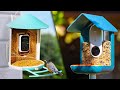 5 Best Bird Feeder Camera in 2024