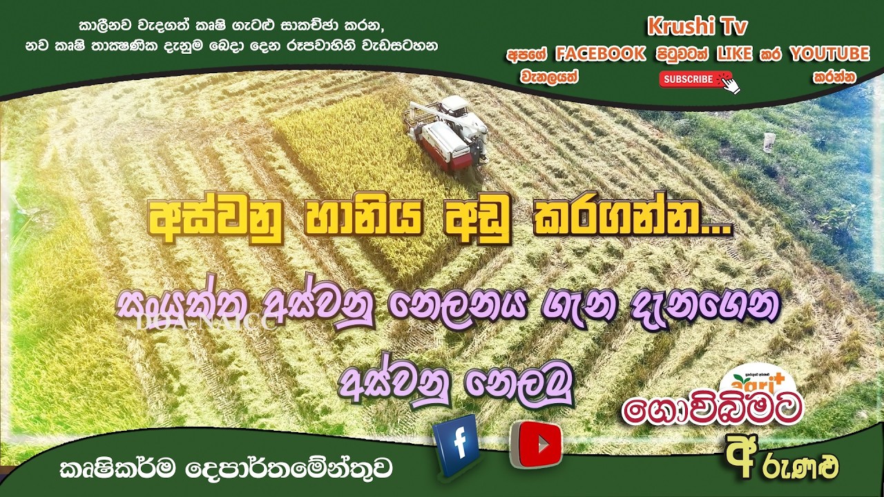 Govibimata Arunalu TV Program | සංයුක්ත අස්වනු නෙලනය ගැන දැනගෙන අස්වනු නෙලමු | 2026-02-15 |Krushi TV