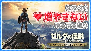 【ブレワイ】がんばりゲージだけ増やしながら旅をする【ゆるゆる縛り】