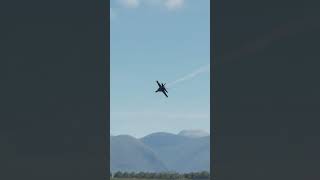 Blue Angles F-18 Low Pass While Hitting The Speed Of Sound In Dcs #Shorts