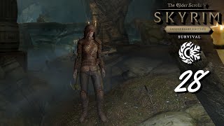 Skyrim Anniversary Edition | Survival | 28.díl | Růžové vyhlídky 2. část | CZ Lets Play